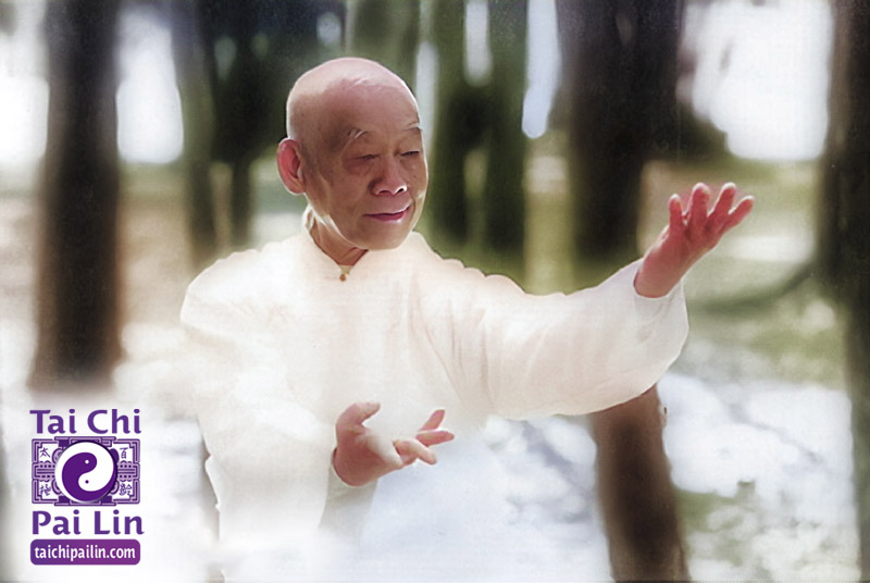 Mestre Liu Pai Lin 劉百齡